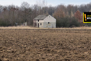 Działka na sprzedaż 162400m2 buski Solec-Zdrój Strażnik - zdjęcie 2