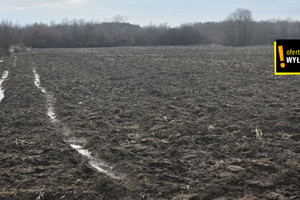 Działka na sprzedaż 162400m2 buski Solec-Zdrój Strażnik - zdjęcie 3