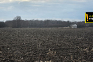 Działka na sprzedaż 162400m2 buski Solec-Zdrój Strażnik - zdjęcie 4