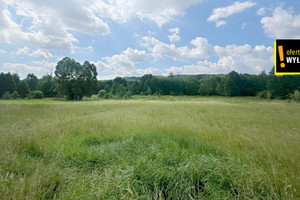 Działka na sprzedaż kielecki Zagnańsk Kajetanów - zdjęcie 2