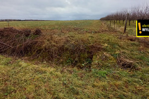 Działka na sprzedaż 9290m2 staszowski Szydłów Rudki - zdjęcie 2