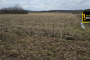 Działka na sprzedaż 69800m2 buski Solec-Zdrój Piasek Mały - zdjęcie 2