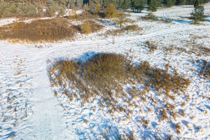 Działka na sprzedaż 6400m2 kielecki Morawica Bilcza Pogodna - zdjęcie 3