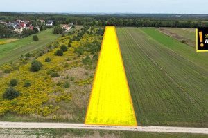 Działka na sprzedaż 13633m2 kielecki Chmielnik Celiny - zdjęcie 2