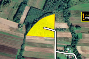 Działka na sprzedaż 24800m2 buski Pacanów Biskupice - zdjęcie 3