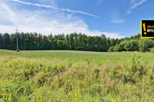 Działka na sprzedaż 66300m2 elbląski Tolkmicko Łęcze - zdjęcie 2