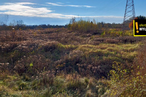 Działka na sprzedaż 14448m2 Elbląg Nowodworska - zdjęcie 2