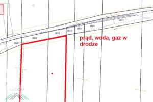 Działka na sprzedaż 14560m2 olkuski Wolbrom Lgota Wielka - zdjęcie 3