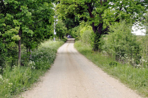 Działka na sprzedaż 10461m2 lidzbarski Lidzbark Warmiński Suryty - zdjęcie 3