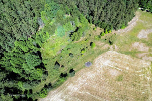 Działka na sprzedaż 10461m2 lidzbarski Lidzbark Warmiński Suryty - zdjęcie 1