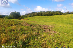 Działka na sprzedaż 1500m2 gdański Przywidz Miłowo Jeziorna - zdjęcie 2