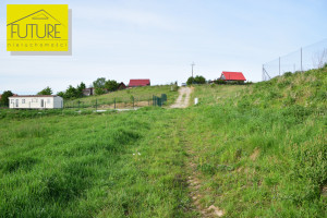 Działka na sprzedaż ostródzki Miłomłyn Liksajny - zdjęcie 2