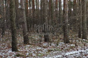 Działka na sprzedaż 2068m2 otwocki Józefów Godebskiego - zdjęcie 1