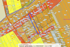 Działka na sprzedaż 20000m2 pruszkowski Nadarzyn Krakowiany Młynowa - zdjęcie 1