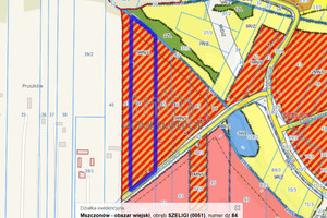 Działka na sprzedaż żyrardowski Mszczonów Szeligi Południowa - zdjęcie 1