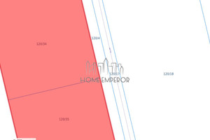 Działka na sprzedaż 6000m2 pruszkowski Nadarzyn Wola Krakowiańska Aleja Brzóz - zdjęcie 3