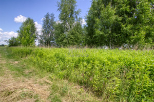 Działka na sprzedaż 4783m2 warszawski zachodni Stare Babice Borzęcin Duży Trakt Królewski - zdjęcie 1