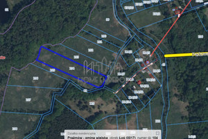 Działka na sprzedaż 9000m2 piaseczyński Prażmów Łoś Parkowa - zdjęcie 3