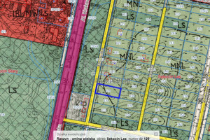 Działka na sprzedaż 2100m2 pruszkowski Raszyn Sękocin-Las - zdjęcie 1