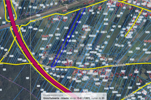 Działka na sprzedaż 12400m2 piaseczyński Góra Kalwaria - zdjęcie 4