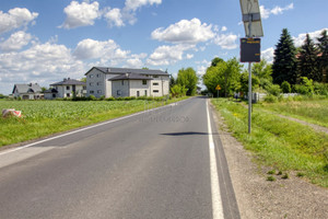 Działka na sprzedaż 8083m2 warszawski zachodni Stare Babice Topolin Jana III Sobieskiego - zdjęcie 3