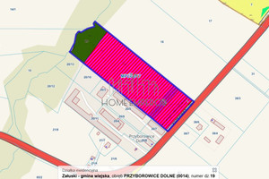 Działka na sprzedaż 29033m2 płoński Załuski Przyborowice Dolne - zdjęcie 1