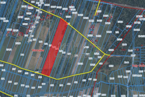 Działka na sprzedaż 33400m2 miński Halinów Michałów - zdjęcie 3