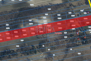 Działka na sprzedaż 35800m2 piaseczyński Prażmów Zadębie Modrzewiowa - zdjęcie 3