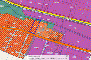 Działka na sprzedaż 4170m2 pruszkowski Brwinów Koszajec Jutrzenki - zdjęcie 3