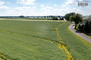 Działka na sprzedaż 1404m2 bolesławiecki Bolesławiec Kraśnik Górny - zdjęcie 2