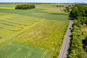 Działka na sprzedaż 1000m2 bolesławiecki Warta Bolesławiecka Tomaszów Bolesławiecki - zdjęcie 3