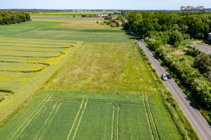 Działka na sprzedaż 1000m2 bolesławiecki Warta Bolesławiecka Tomaszów Bolesławiecki - zdjęcie 2