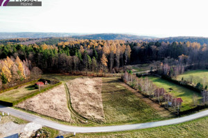 Działka na sprzedaż 3522m2 rzeszowski Boguchwała Mogielnica - zdjęcie 2