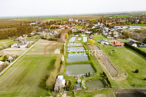 Działka na sprzedaż 14998m2 tczewski Tczew Miłobądz Sadowa - zdjęcie 3