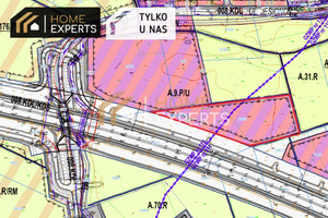 Działka na sprzedaż 12226m2 gdański Pruszcz Gdański Przejazdowo Jesionowa - zdjęcie 1