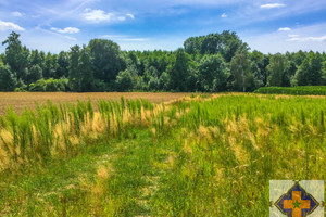 Działka na sprzedaż śremski Brodnica Żabno - zdjęcie 1