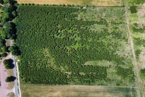 Działka na sprzedaż 26241m2 gryficki Gryfice Jana Dąbskiego - zdjęcie 2