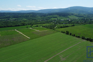 Działka na sprzedaż 1500m2 lubański Świeradów-Zdrój Jarzębinowa - zdjęcie 3