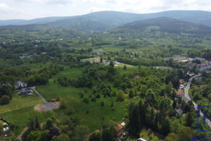 Działka na sprzedaż 3000m2 lubański Leśna Pobiedna Podgórna - zdjęcie 3