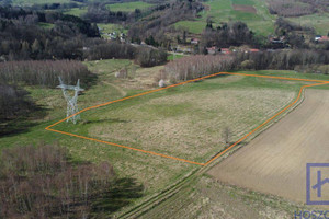 Działka na sprzedaż 23400m2 lubański Leśna Miłoszów - zdjęcie 1