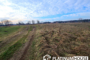 Działka na sprzedaż 900m2 zielonogórski Czerwieńsk Leśniów Wielki - zdjęcie 1