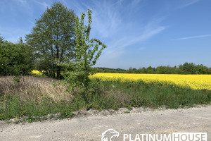 Działka na sprzedaż zielonogórski Sulechów - zdjęcie 1