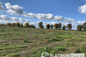 Działka na sprzedaż 900m2 słubicki Cybinka - zdjęcie 1