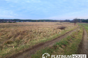 Działka na sprzedaż 2000m2 zielonogórski Czerwieńsk Leśniów Wielki - zdjęcie 2