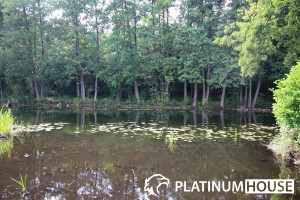 Działka na sprzedaż 600m2 świebodziński Skąpe Niesulice - zdjęcie 2