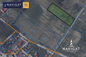 Działka na sprzedaż 11700m2 słupski Ustka Grabno Wojewódzka - zdjęcie 2