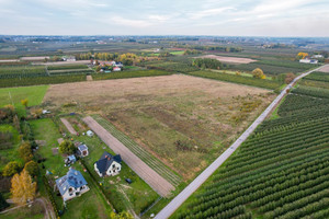 Działka na sprzedaż 3000m2 grójecki Goszczyn Romanów - zdjęcie 3