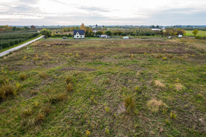 Działka na sprzedaż 3000m2 grójecki Goszczyn Romanów - zdjęcie 4