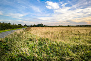 Działka na sprzedaż grójecki Goszczyn Romanów - zdjęcie 2