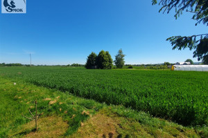 Działka na sprzedaż 4500m2 wielicki Gdów Książnice - zdjęcie 2